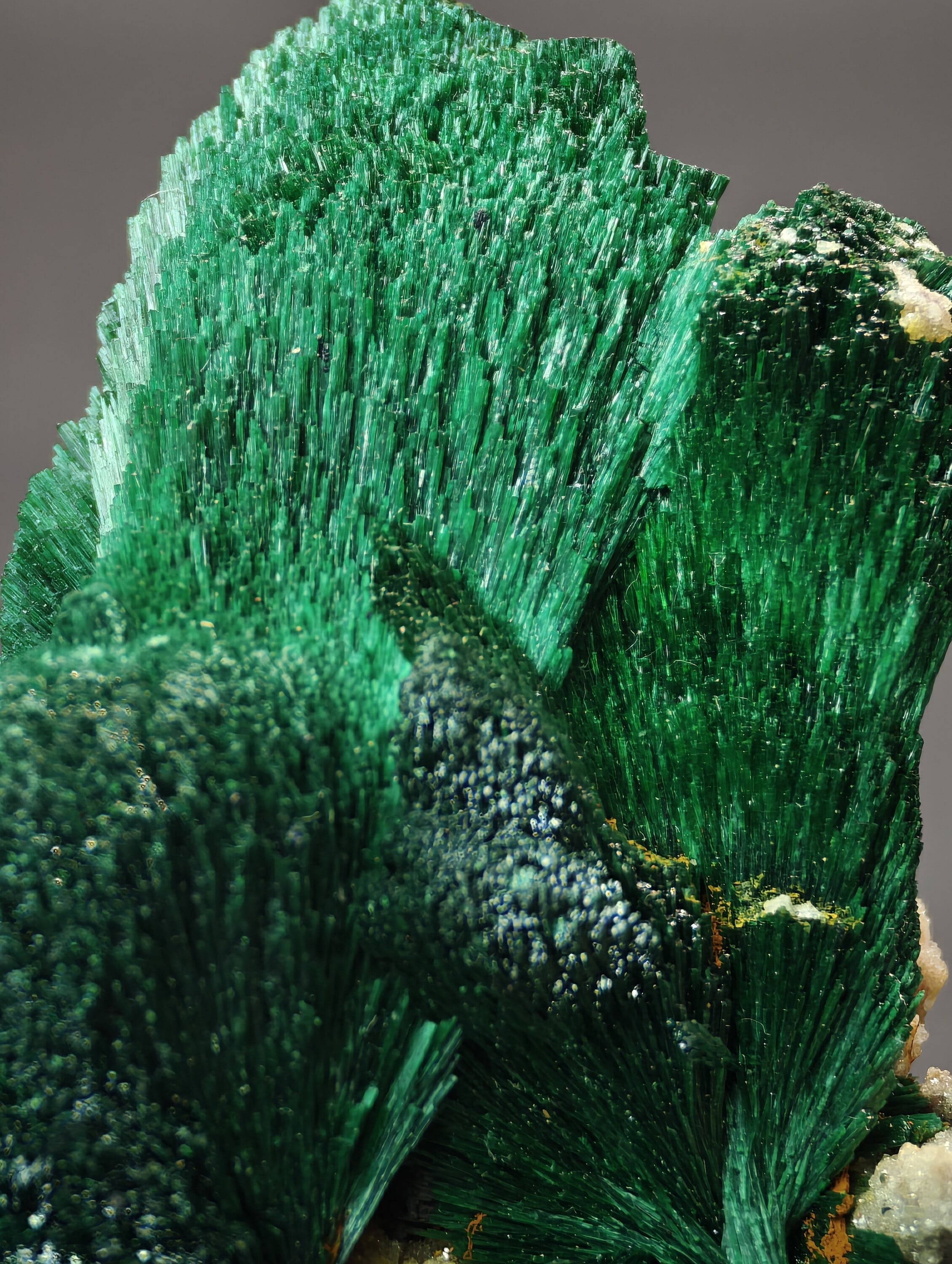 Amas de Malachite Fibreuse, Kerrouchen, Maroc, 3