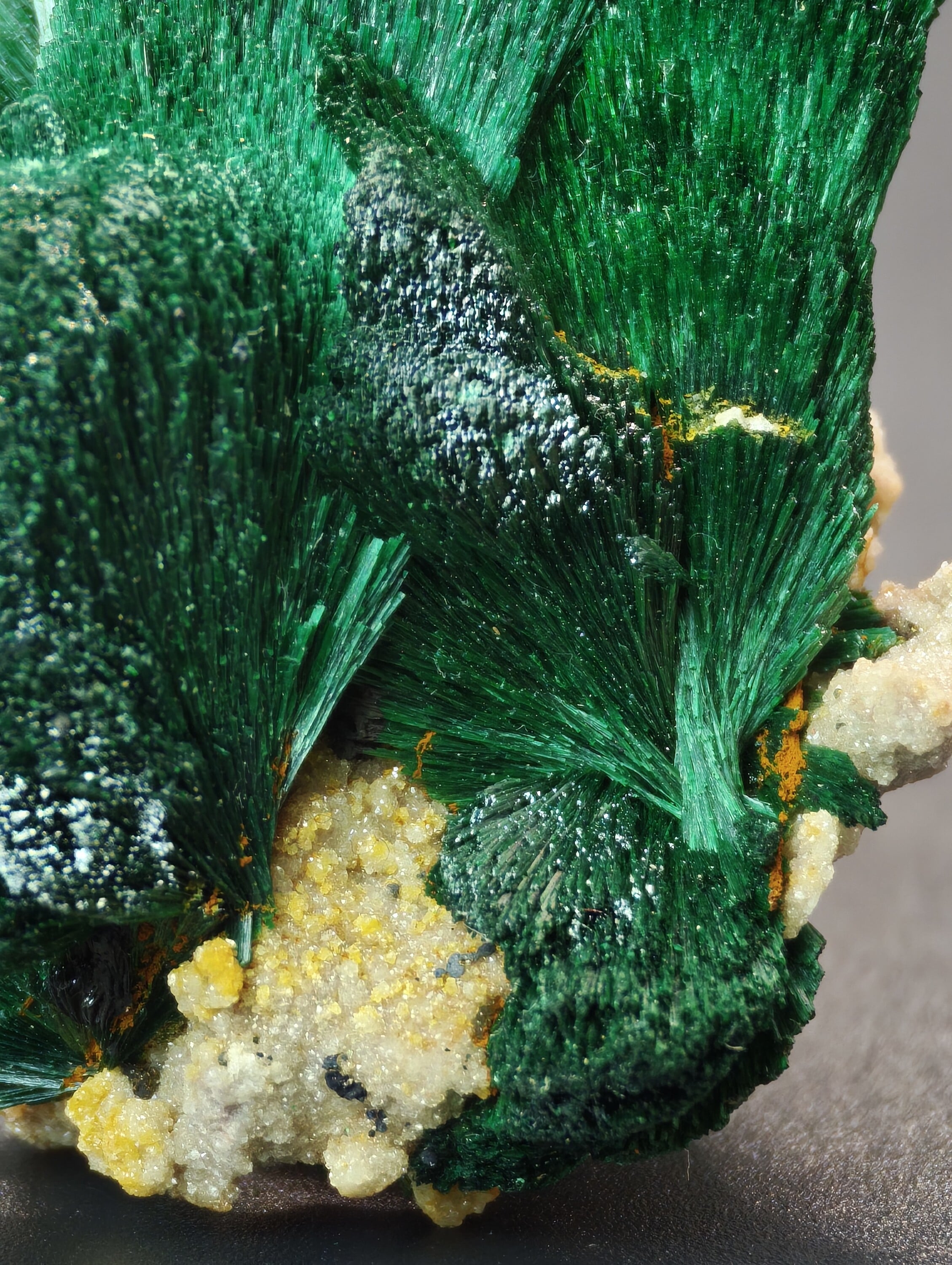 Amas de Malachite Fibreuse, Kerrouchen, Maroc, 4
