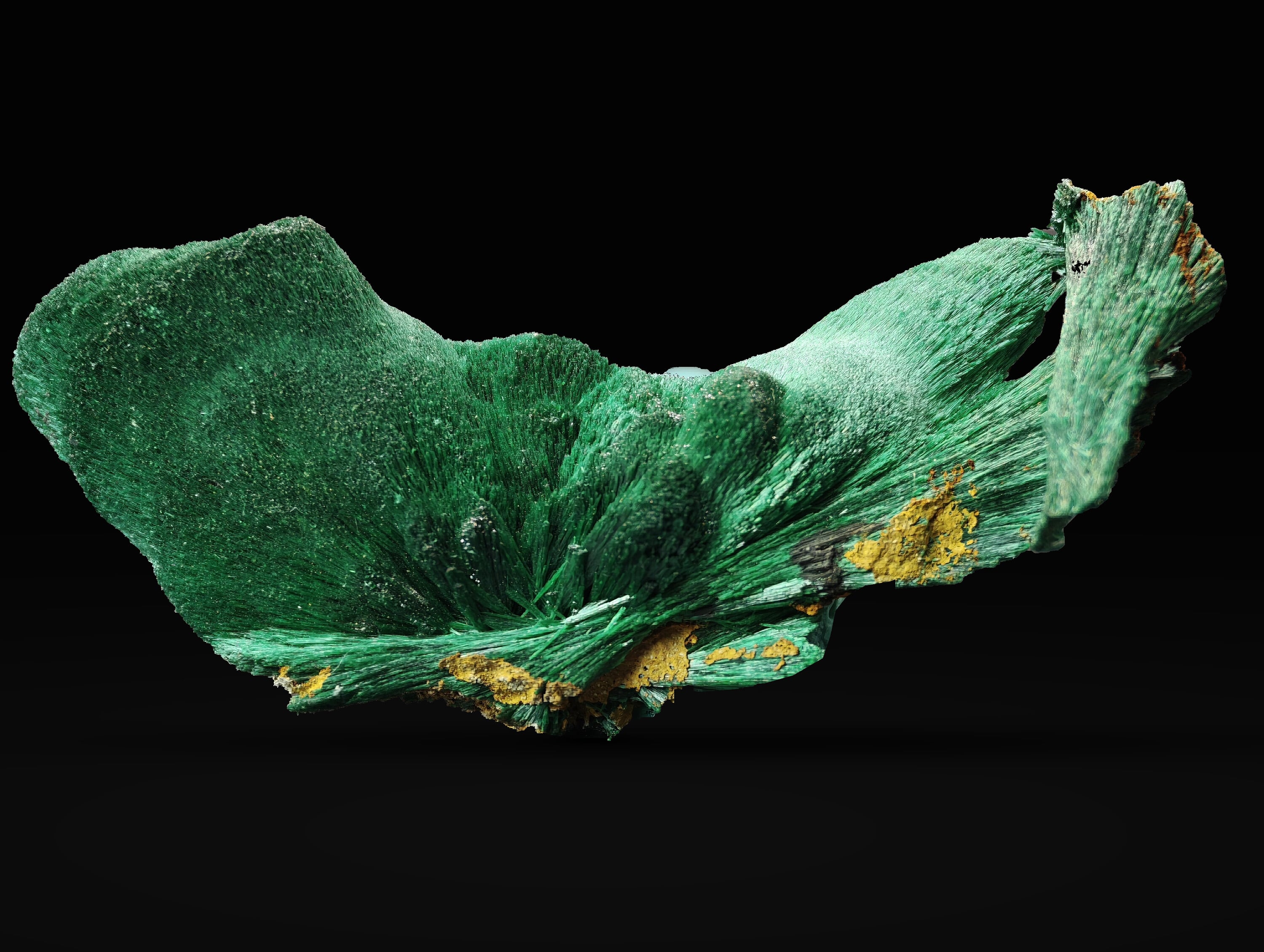 Malachite en éventail, Kerrouchen, Maroc, 1