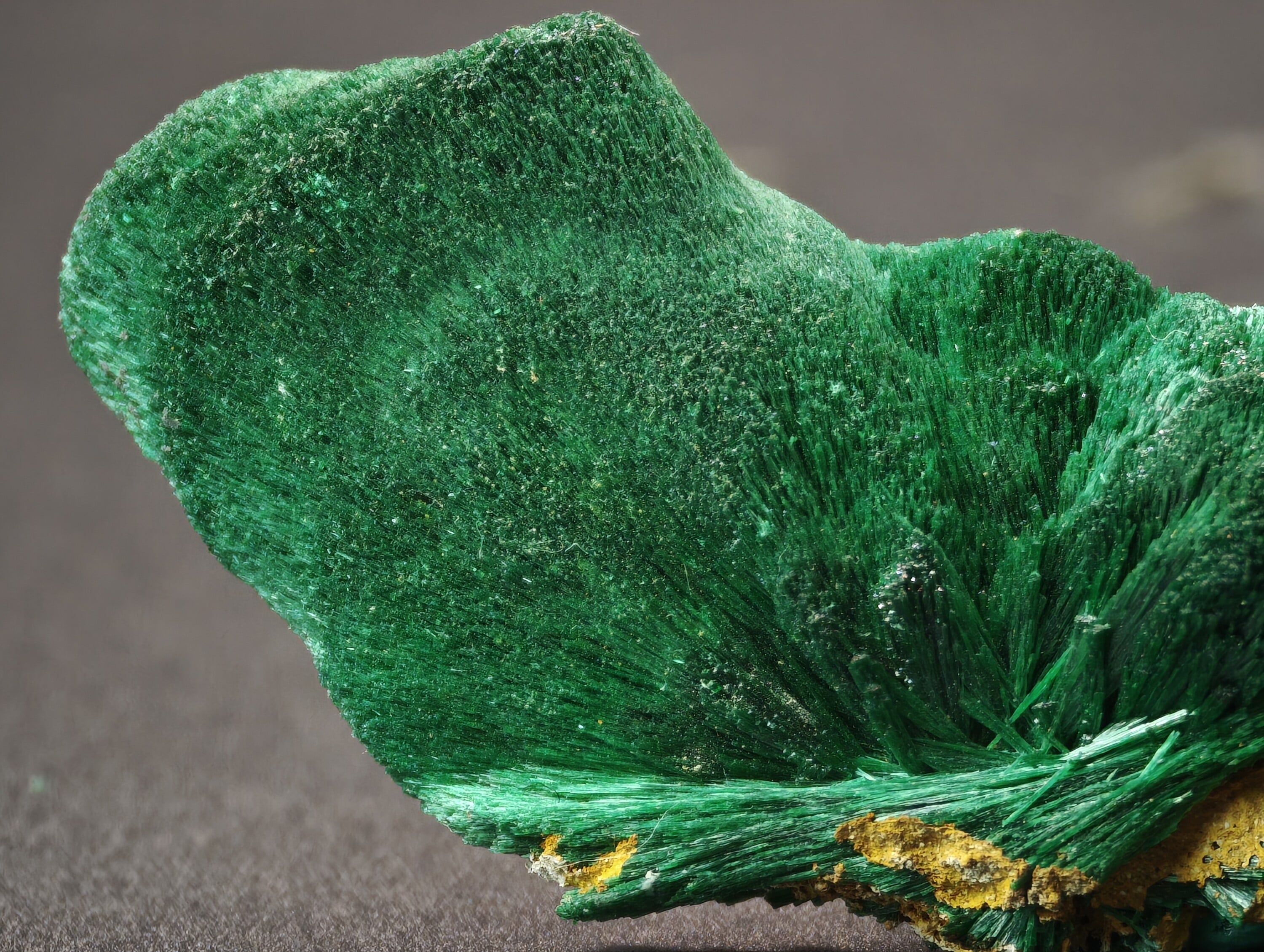 Malachite en éventail, Kerrouchen, Maroc, 2