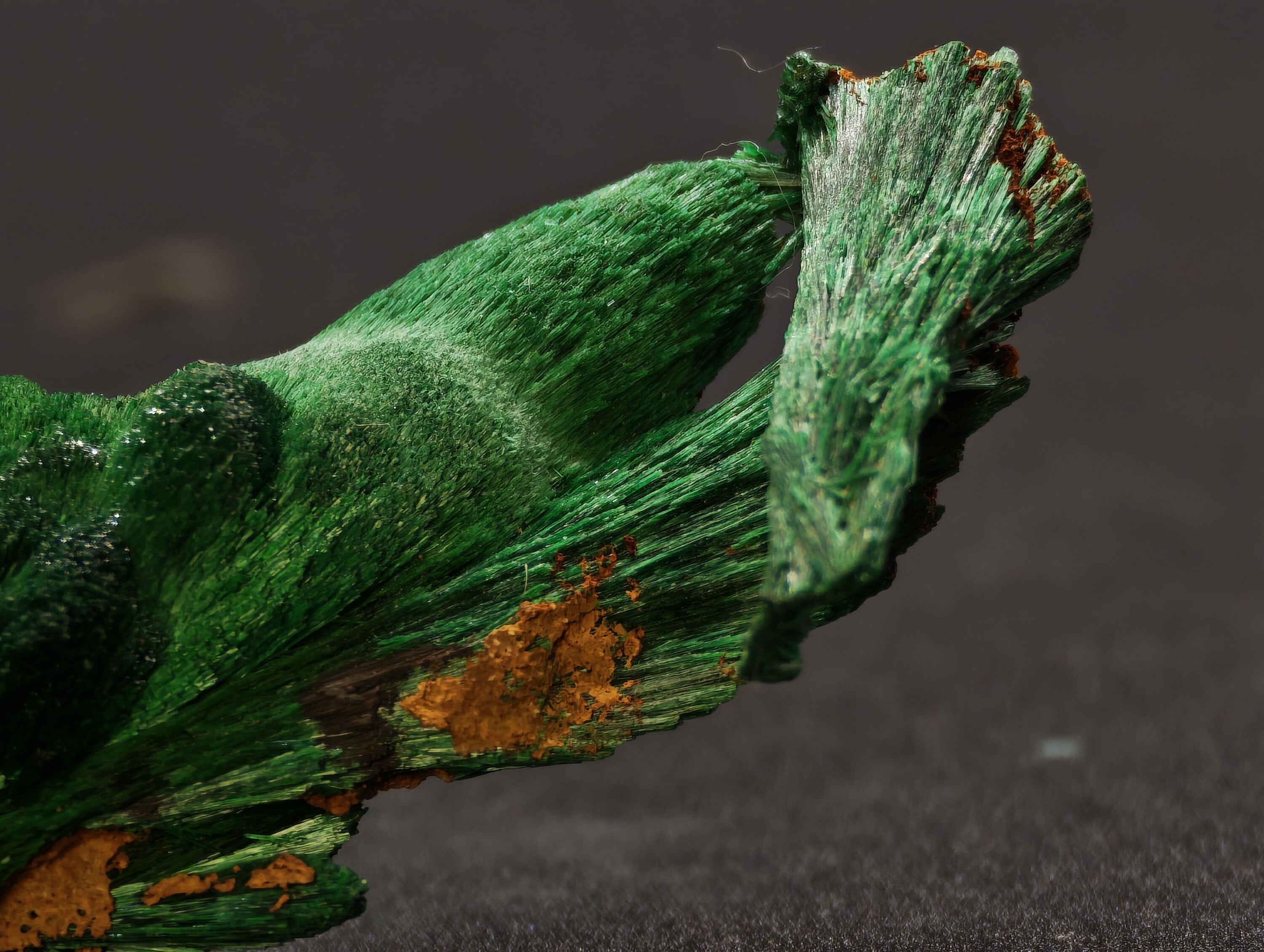 Malachite en éventail, Kerrouchen, Maroc, 3