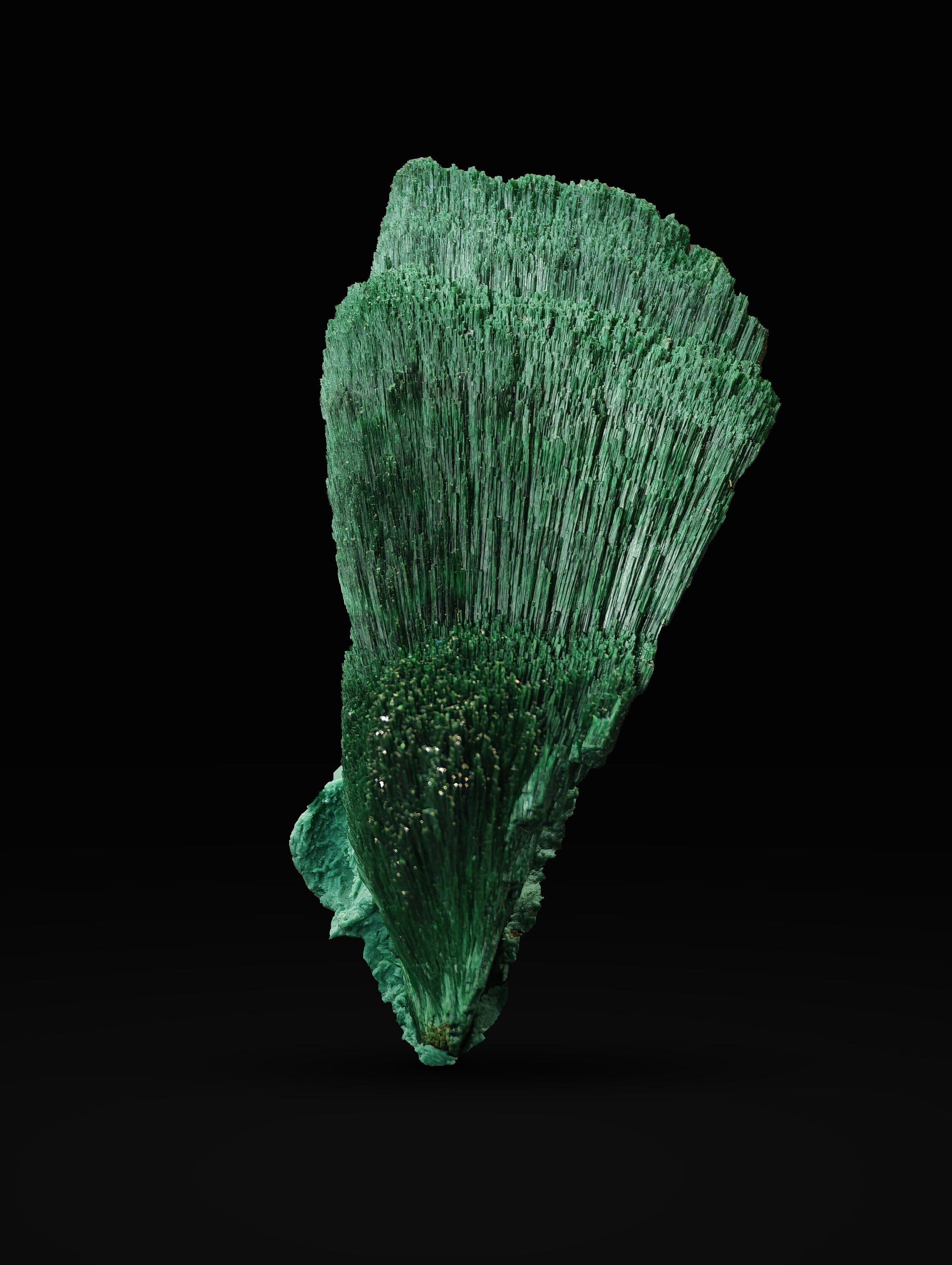 Ventail de Malachite Fibreuse, Kerrouchen, Maroc, 1