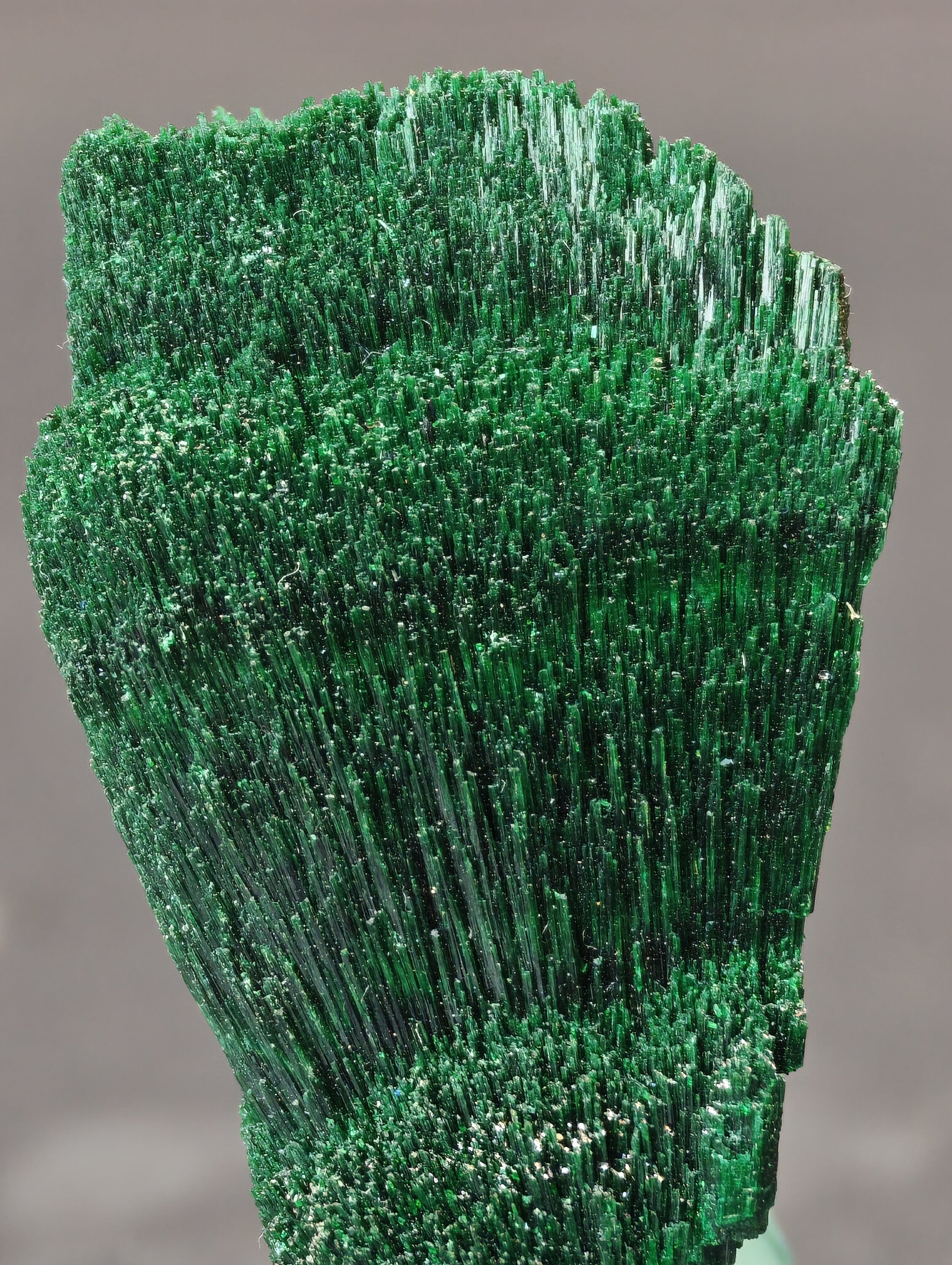 Ventail de Malachite Fibreuse, Kerrouchen, Maroc, 3