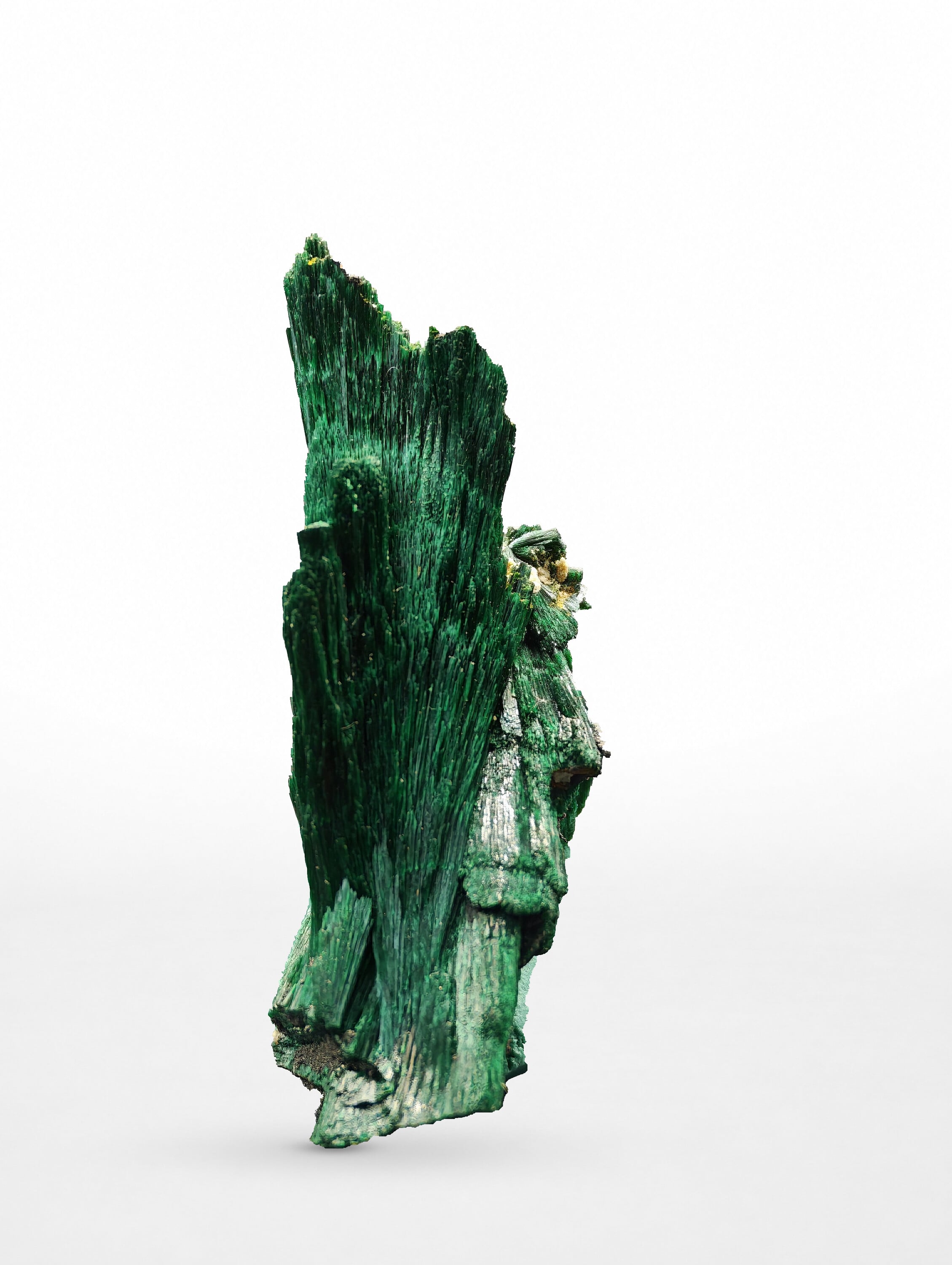 Fibrous Malachite Blade, Kerrouchen, Morocco, 1