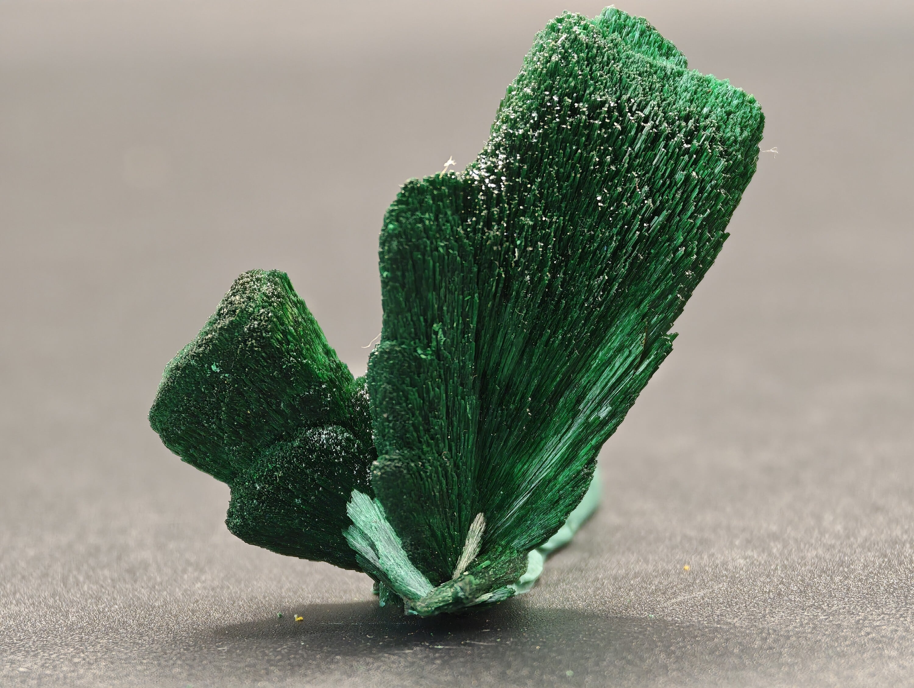 Doubles Sprays de Malachite, Kerrouchen, Maroc, 3