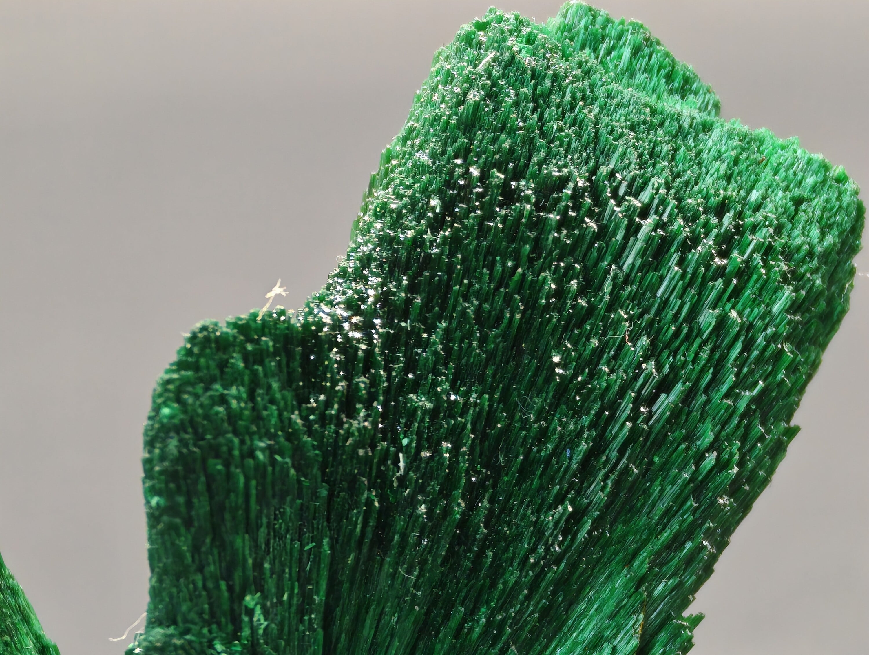 Doubles Sprays de Malachite, Kerrouchen, Maroc, 4