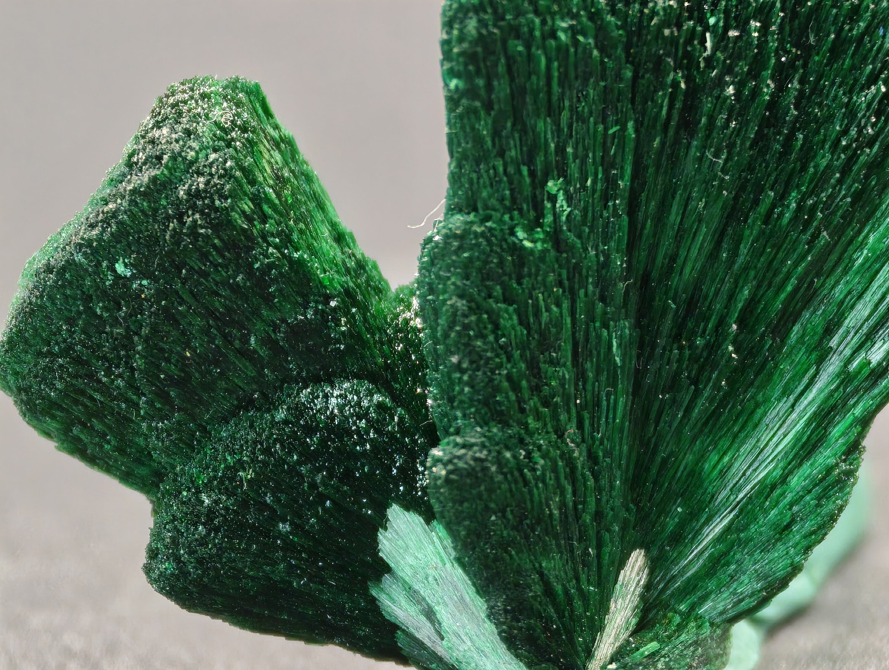 Doubles Sprays de Malachite, Kerrouchen, Maroc, 5