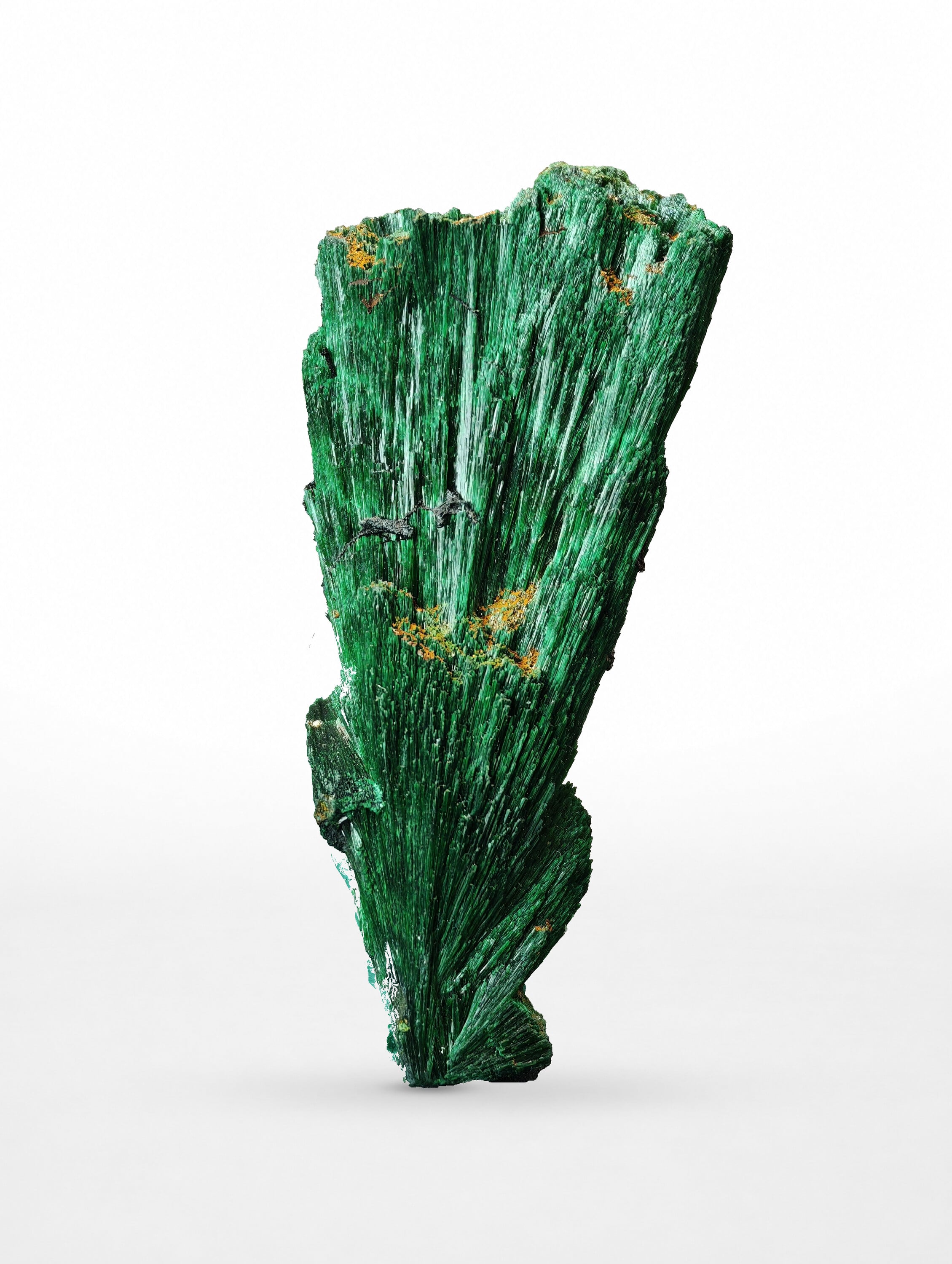 Spray de Malachite Soieuse, Kerrouchen, Maroc, 1