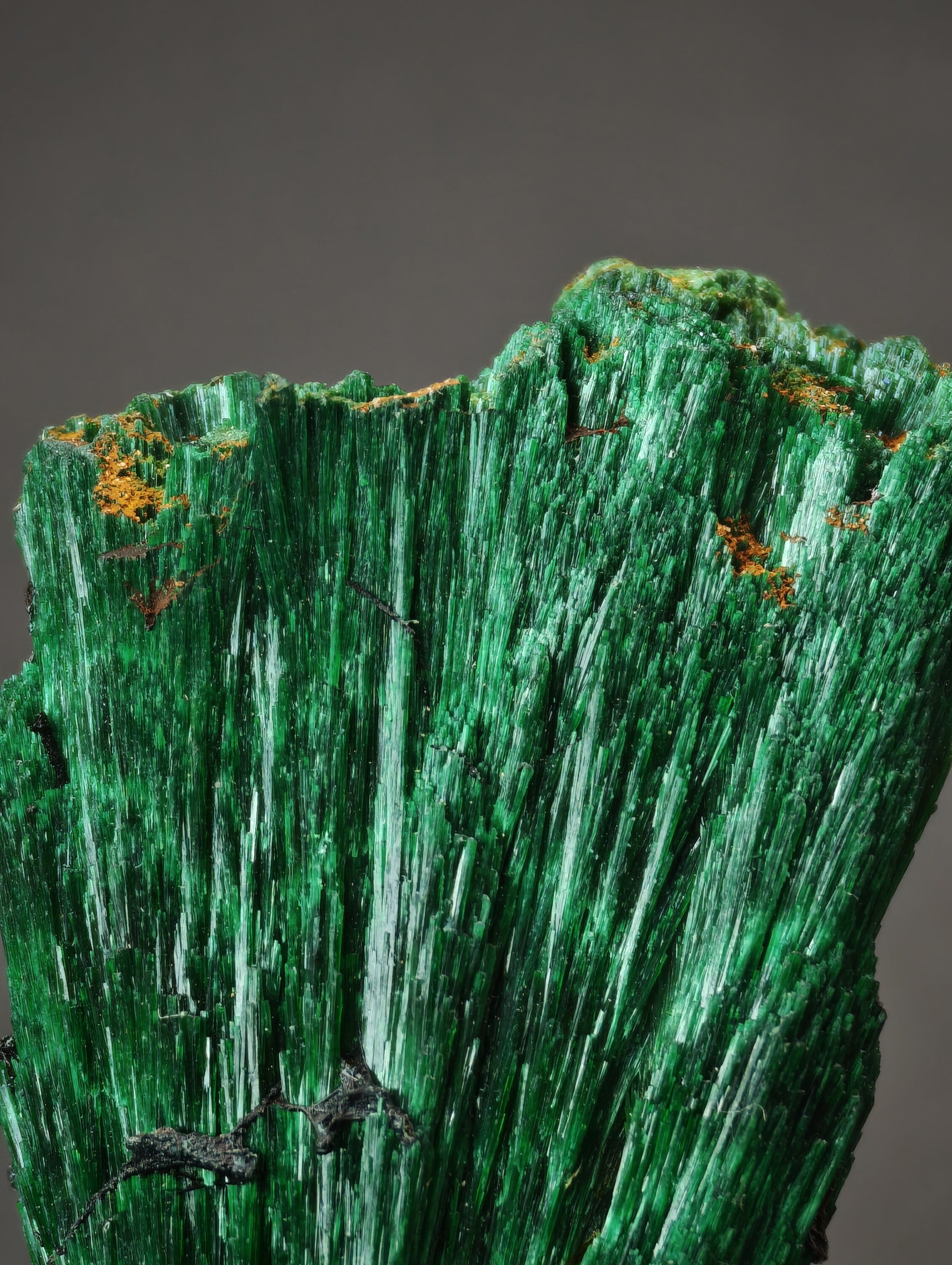 Spray de Malachite Soieuse, Kerrouchen, Maroc, 2