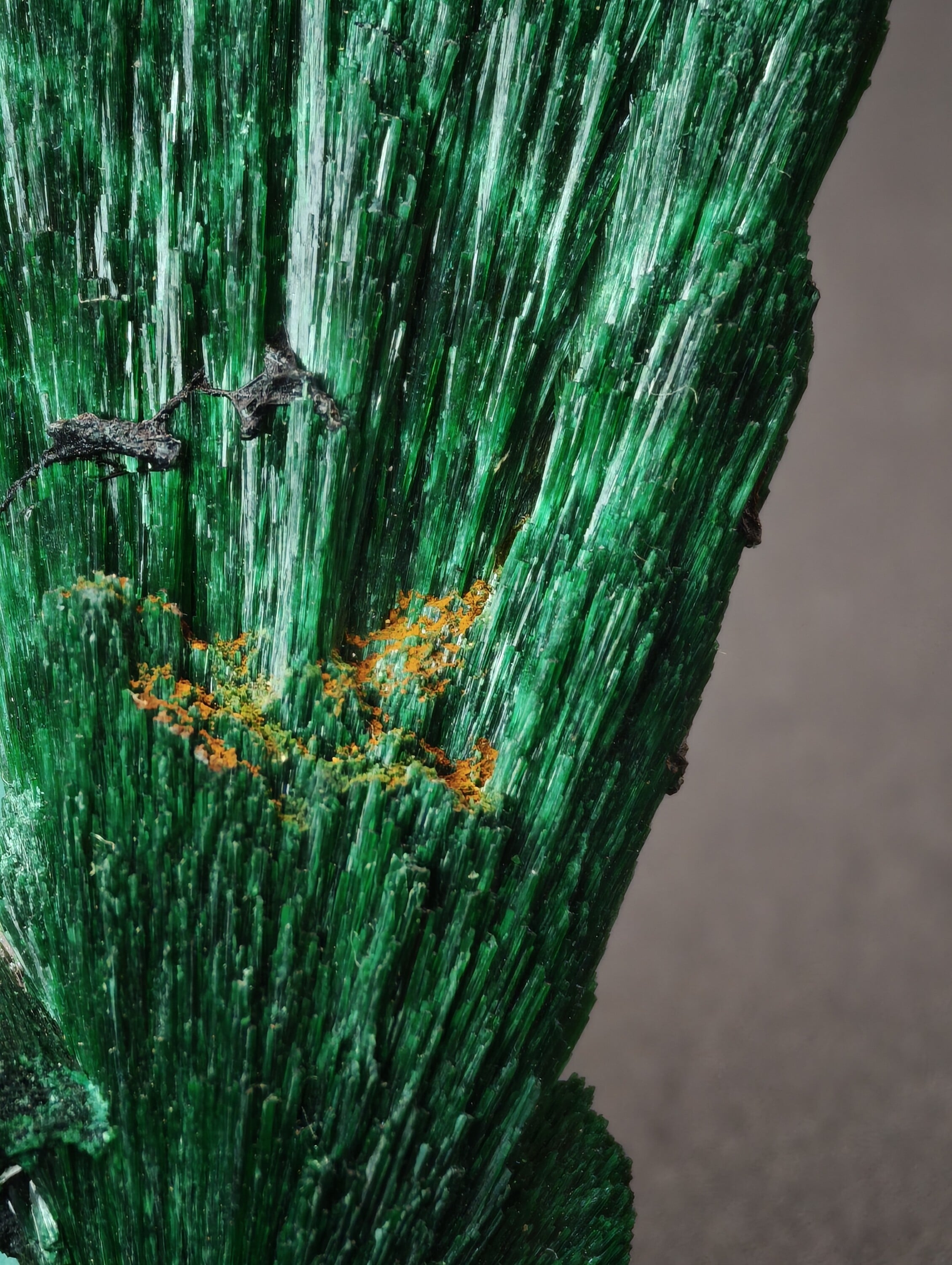 Spray de Malachite Soieuse, Kerrouchen, Maroc, 3